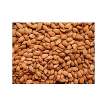 Magro Tuzlu Kavrulmuş Kayısı Bademi Kayısı Çekirdek 1kg Günkurusu Diğer