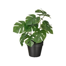 Fejka Yapay Bitki, Monstera - 178642435 Monstera
