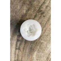 Purpusorum Sukulent Mum Kalıbı Silikon 50 x 22