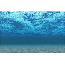 Kanki Pet KP7045008 Akvaryum Arka Fon Yapıştırma 70 CM