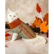 Kemique Stripe Orange Su İtici Kedi Yağmurluğu