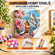 Sayılarla Boyama Numaralı Tuval Seti Boya Fırça Dahil 40x50 Cm Bahar Kuşları