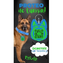 Petjoo 24.Proteo Yeşil-Mavi Qr'lı Köpek Künyesi