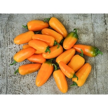 20 Adet Orange Spice Jalepeno Biber Tohumu N112534