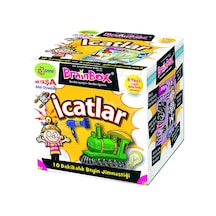 Brainbox İcatlar (Türkçe)