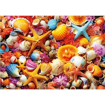 Educa 20246 Puzzle - 1000 Parça Deniz Kabuğu Kolajı Yapboz - Shell Collage