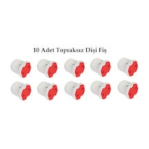 10 Adet Topraksız Dişi Fiş