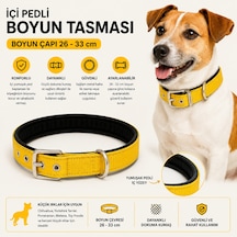 Köpek Boyun Tasması İçi Pedli 26-33 Cm Küçük Irk Dokuma Kumaş Metal Tokalı - Sarı Çok Renkli