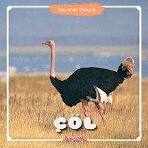 Hayvanlar Dünyası - Çöl- Yumurcak Yayınları
