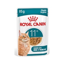 11+ Yaş Gravy Healthy Ageing Yaşlı Kedi Maması Pouch 85 Gr X 12 Adet