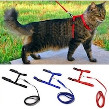 Ayarlanabilir Kedi Tasması 120 Cm 4 Renk N11.217
