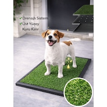 Beylini Köpek Çim Tuvalet Matı Pet Kedi Plastik Havuzlu Drenajlı Kaka Çiş Ped Halısı Hijyenik Paspas Köpek Tuvalet Eğitim Parkı Tuvalet Çiş Eğitimi 50 x 75 CM