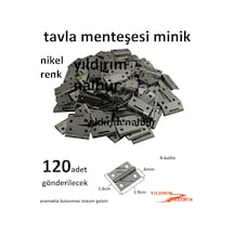 Tavla Menteşesi Nikel Renk Mini Boy 1.9cm Kutu Aksesuar Menteşe