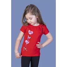 Toontoy Kids Toontoy Kız Çocuk Flamingo Desenli Taş İşlemeli Baskılı Tişört Kırmızı