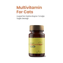 Kediler İçin Multivitamin