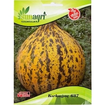Sunagri Kavun Kırkağaç Tohumu