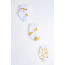 Cocole Socks Kız Çocuk Soket Çorabı 3 Lü Set Pamuklu Hardal & Mercan Desenli Çok Renkli