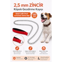 Zincir Köpek Gezdirme Kayışı Dalı Çelik & Ergonomik Tutma Saplı 2,5 Mm-120 Cm Kırmızı Çok Renkli