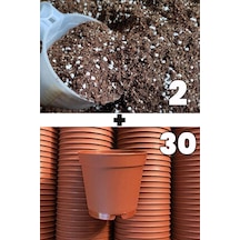 2 lt kaktüs sukulent yetiştirme toprağı ve 30 adet 5.5 cm saksi