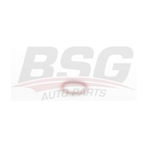 Bsg Turbo Contası Orıng Conta - Fluence/megan Iıı 07-