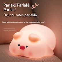 Led Patırık Ortamışığıgece Lambası-domuz 1 Diğer