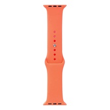 Watch 42mm Band Serisi Klasik Kordon Silikon Strap Kayış-pawpaw