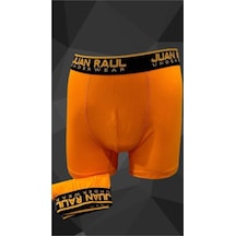 Turuncu Erkek Boxer