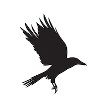 Kuş Folyo Sticker Derstv931 50cm Uzunluk Siyah