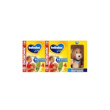 4 Çocuk Devam Sütü 1 Yaş+ 800 Gr X 2 Adet Ayıcık Hediyeli