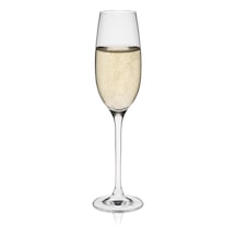Glass Edition 6'li Şampanya Kadehi Seti - 150 Ml Çok Renkli