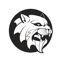 Aslan 8 Folyo Sticker 90 Cm Uzunluk Siyah