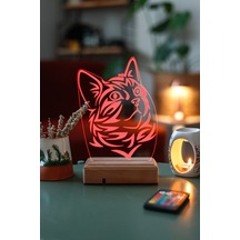 Özel Tasarım Sevimli Kedi 3D Led Lamba