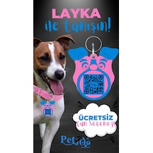 Petjoo 22.Layka Mavi-Pembe Qr'lı Köpek Künyesi