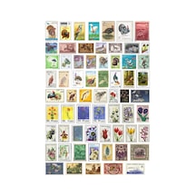 64 Adet Vintage Hayvan Doğa Pul Koleksiyonu Sticker Seti - Etiket Seti Çok Renkli