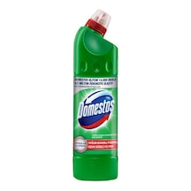 Domestos Dağ Esintisi 12 x 750 ML