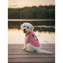 Gobo Yumuşacık Şeker Pembe Kedi Ve Köpek Kıyafeti Elbisesi Siyah Köpek Baskılı Tshirt - Xs, S, M, L Beden