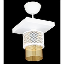 Tekli Bal Cam Kafes Model Modern Plafonyer Avize U