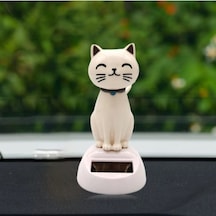 Solar Beyaz Kedi Gunes Enerjisi İle Calısır