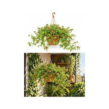 Makrome Buz Çiçeği Aptenia - Askılı Balkon-teras Çiçeği
