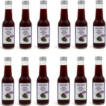Ancora Sıkma Karadut Suyu 250 Ml X 12 Adet