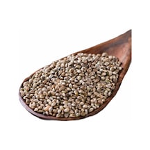Kendir Çedene Tohumu 1 KG Kuş Yemi