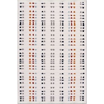 Crea Halı Rey 1802ak