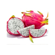 Eko Paket Beyaz Pitaya Ağacı Tohumu Ithal Beyaz Ejder Meyvesi Tohumu 65 Adet Tohum