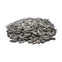 Tuzsuz Siyah Ay Çekirdeği 500 G