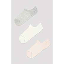 Penti Basic Mesh 3lü  Patik Çorap Çok Renkli