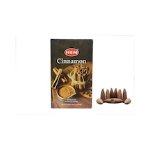 Cinnamon Back Flow Cones