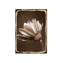 Bedeko Kahverengi Tonlarında Çiçek Mdf Poster 35 Cm X 50 Cm