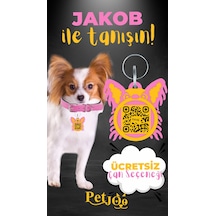 Petjoo 8.Jakob Sarı-Pembe Qr'lı Köpek Künyesi