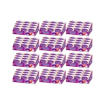 Mentos Clean Breath Orman Meyvesi Aromalı Şekersiz Tatlandırıcılı Tablet Şekerleme 21 Gr X 12 Adet X 12 Adet-382
