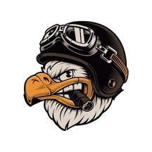 Kasklı Kartal 9x9 Cm Motorsiklet Kask Laptop Ve Oto Sticker